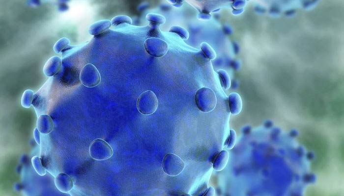 Типология гепатита С: его виды, генотипы