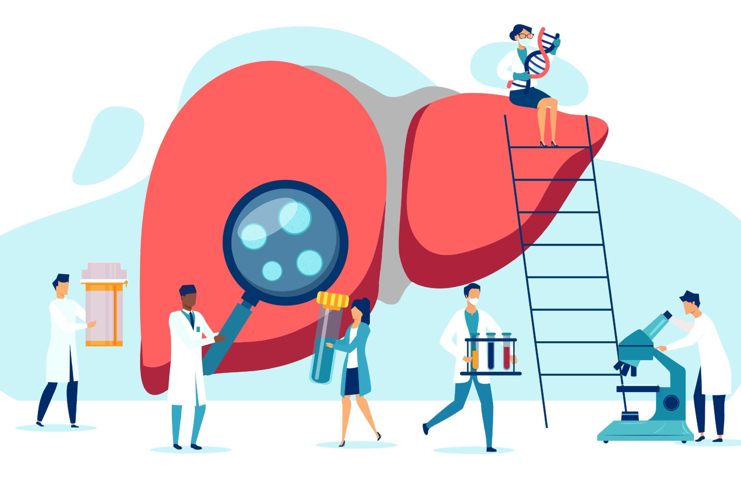 Гепатиты В и С: признаки болезни и способы лечения